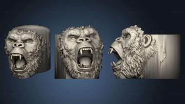 3D model Mate kong (STL)